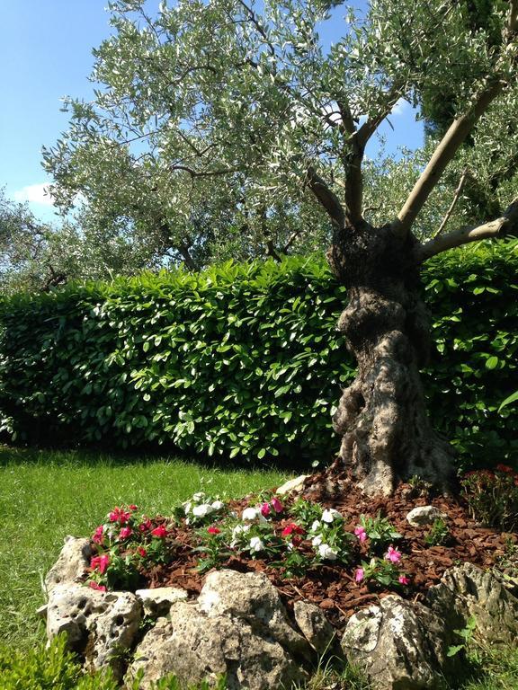Da Debbie San Giovanni In Marignano Habitación foto